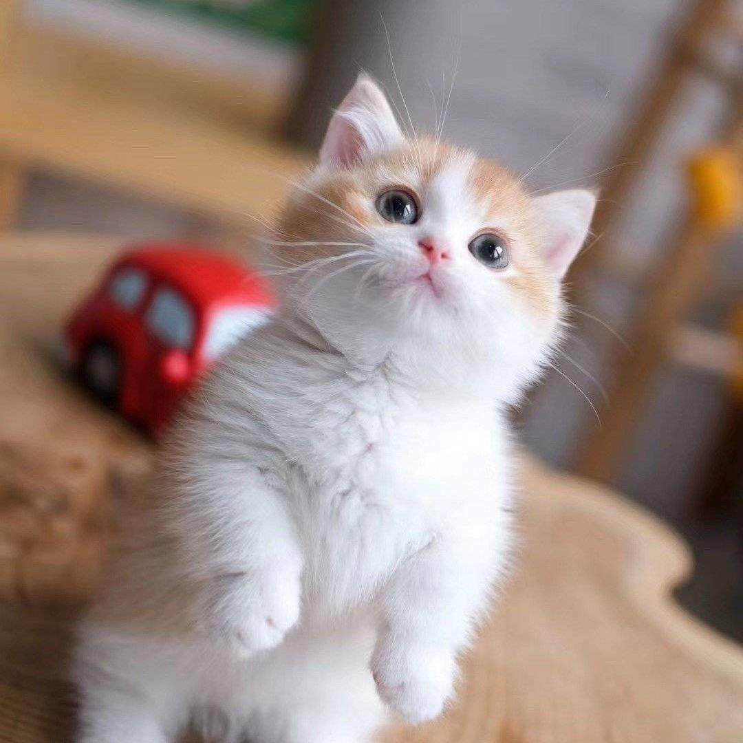 撑的慌