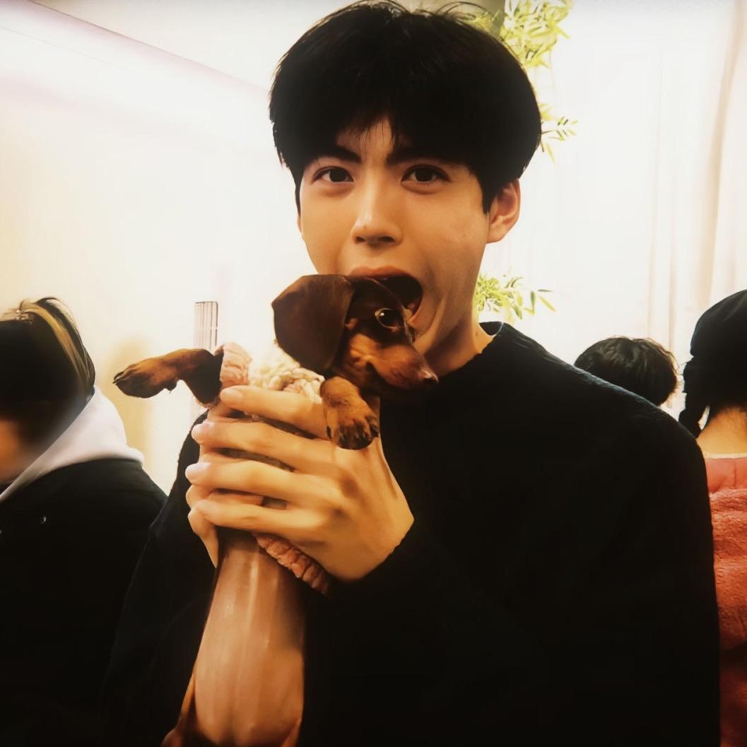🍊🍌