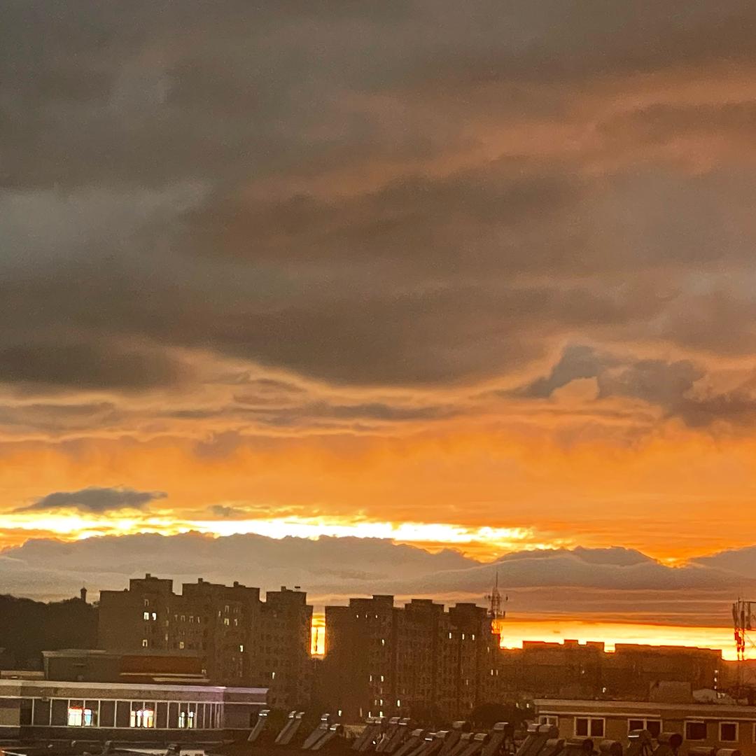 待到秋来九月八