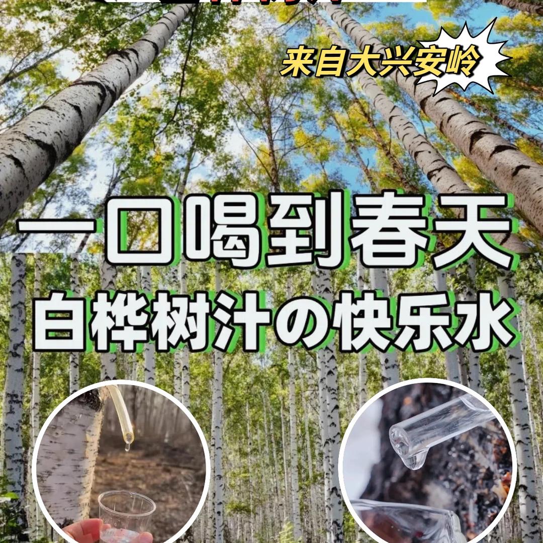 福安市特创电子产品经营部（个体工商户）