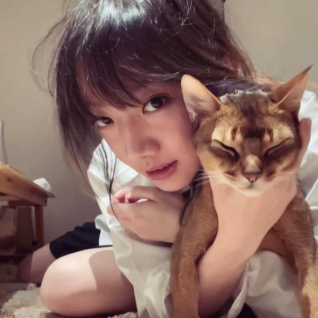 好爱睡觉