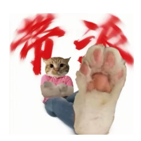 夏天美