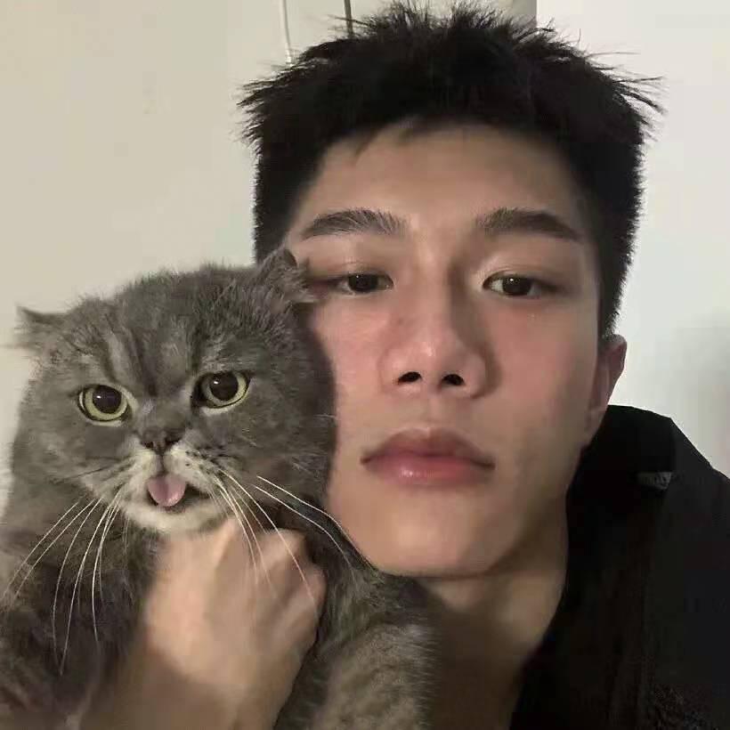 晚上能看见🌞吗