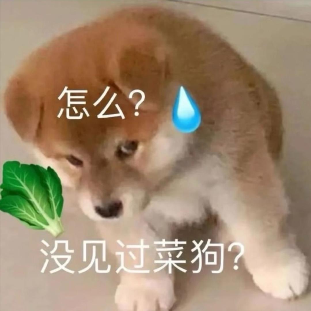 菜狗在🍓（温柔版）