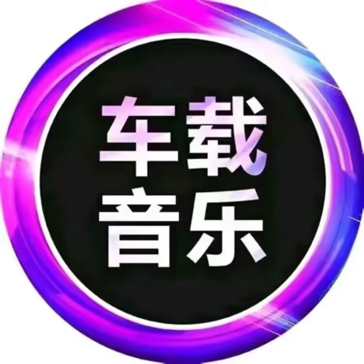 DJ《车载视频U盘》