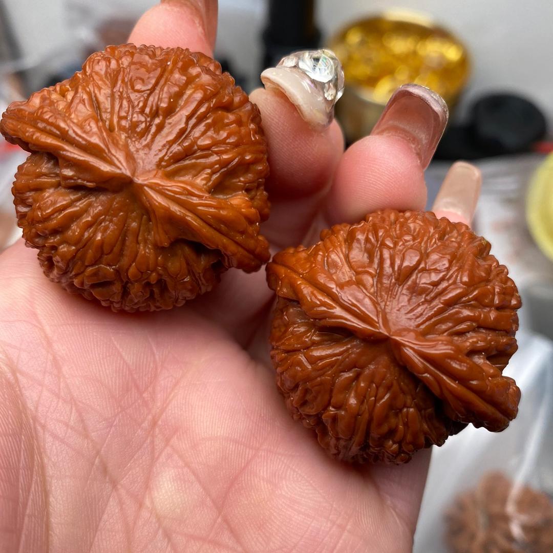 核而不同