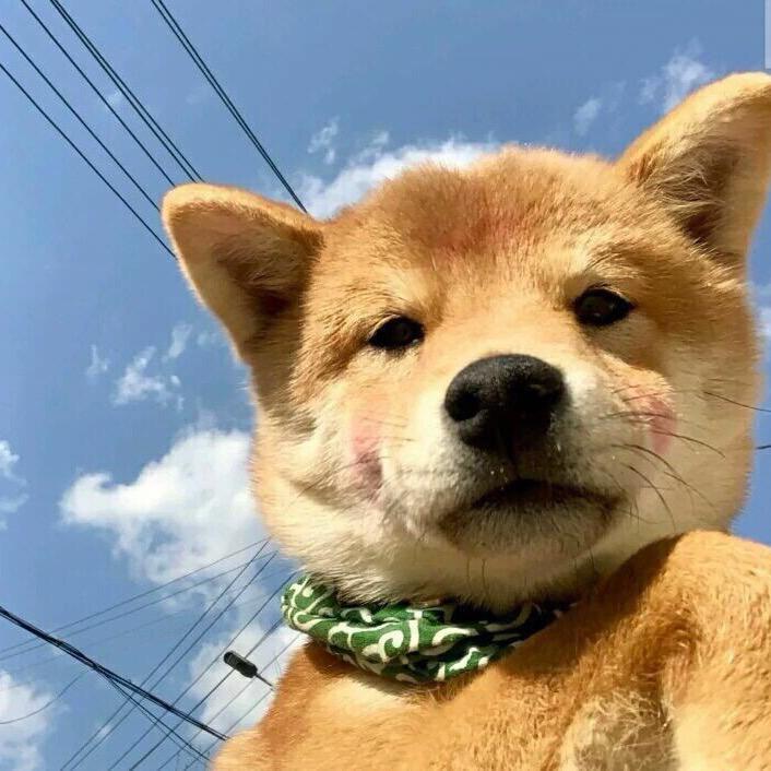 卖经书的孙悟空