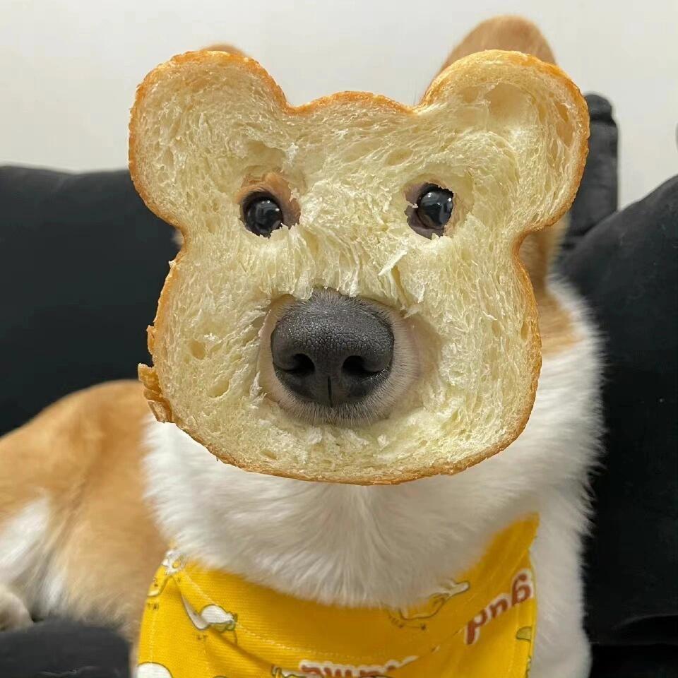 废话小憨包