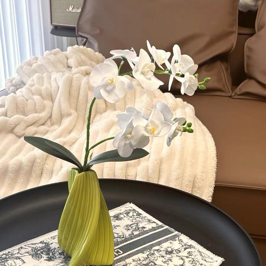 @苏苏熊