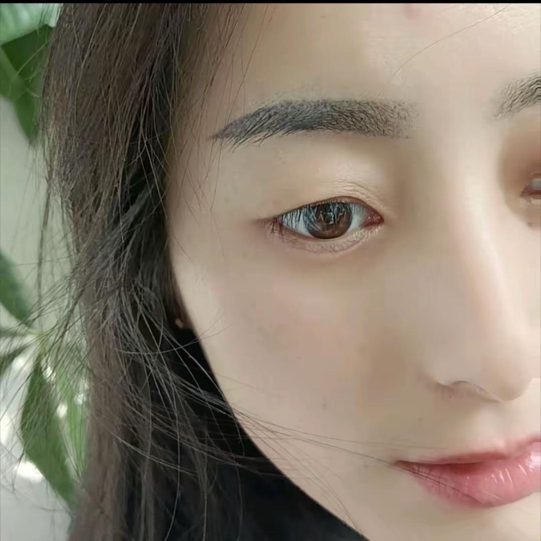 苦菊（无依无靠)