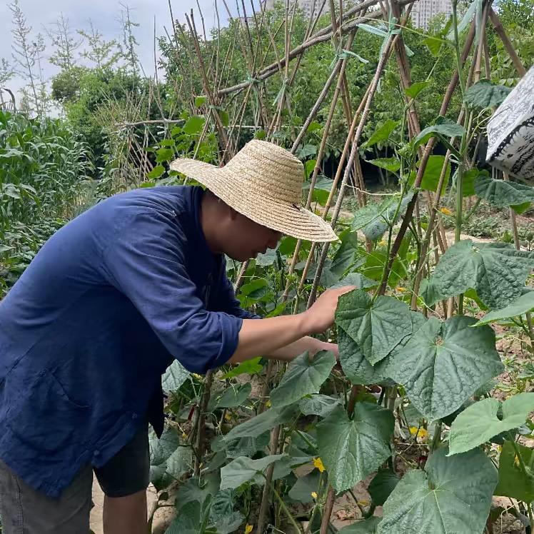 种菜吃不完呀