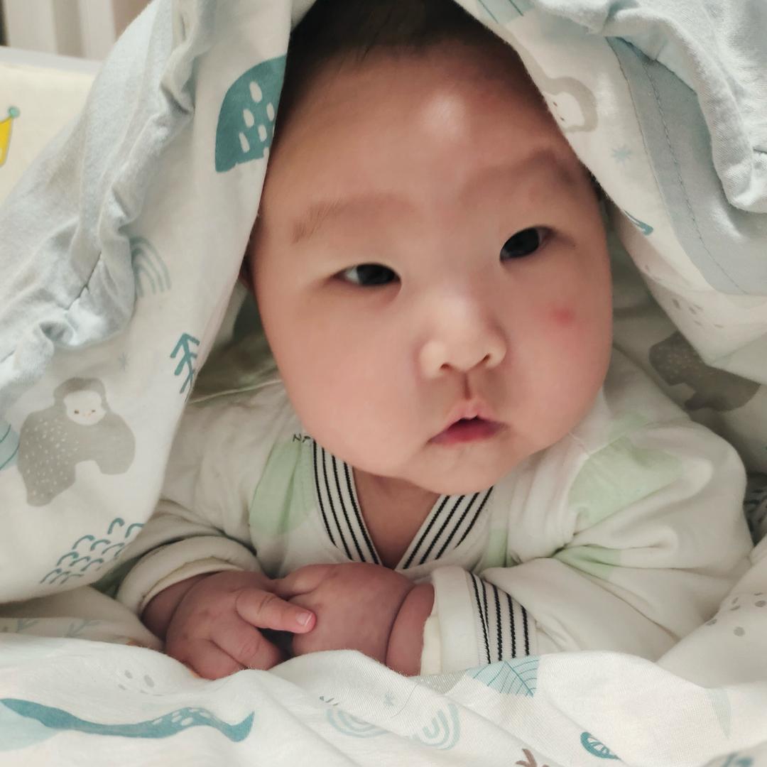 🍀铁锤妹妹🍀
