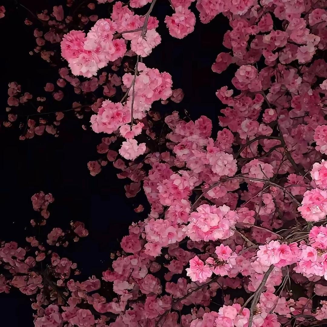 已逾期