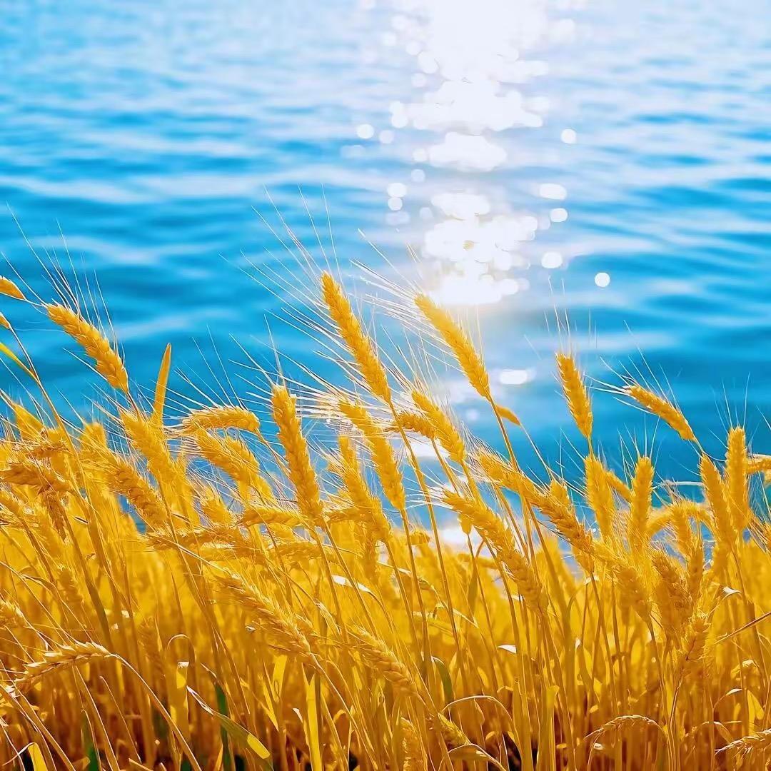 微云道甄选生鲜供应链