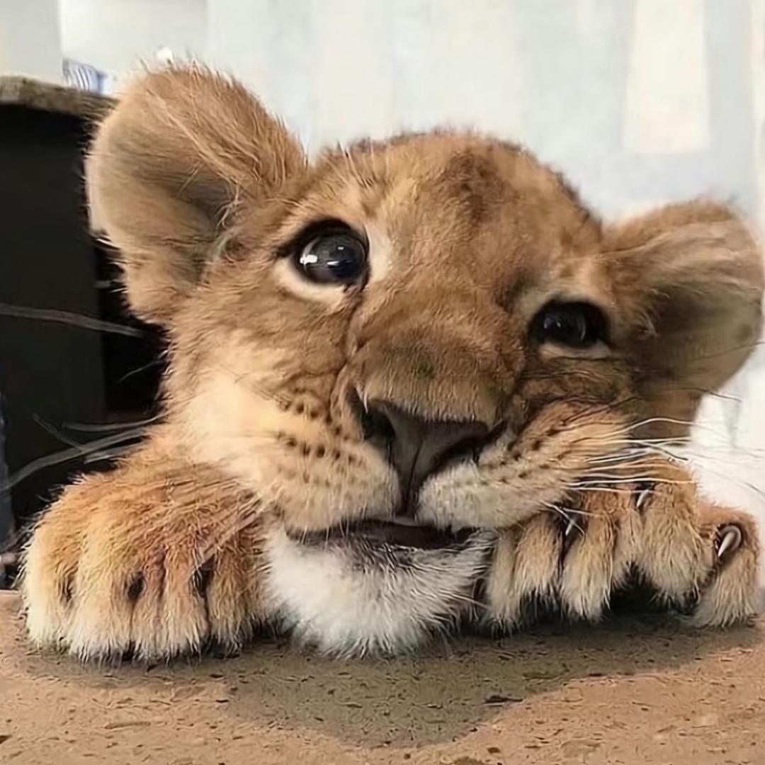 六盘水泓洲科技有限公司