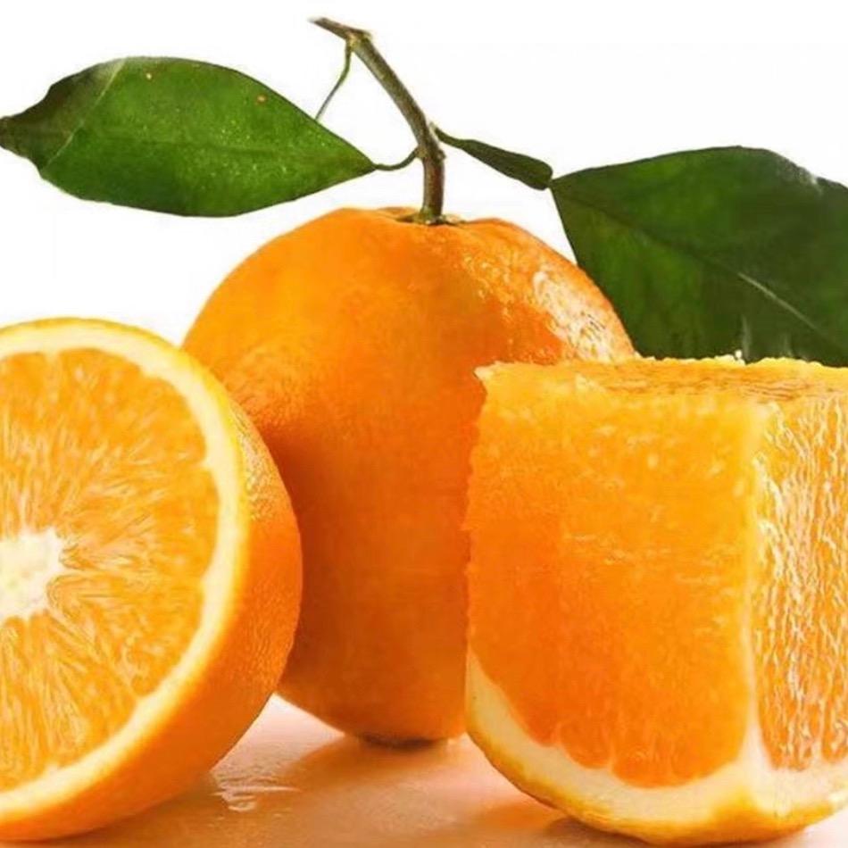 🌻෴₅₂₀娜家果园¹³¹⁴: এ᭄💞