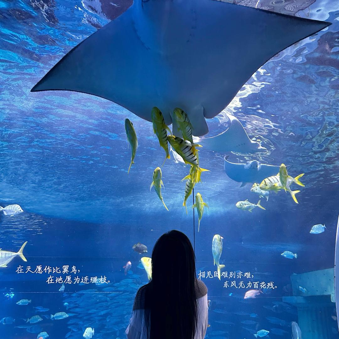 一口贝果