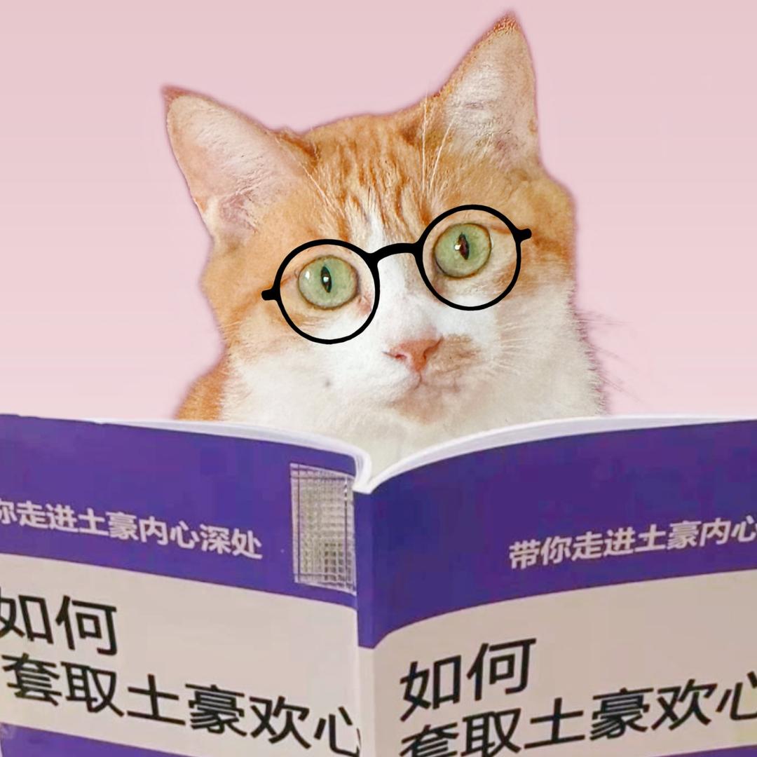 西西是只猫