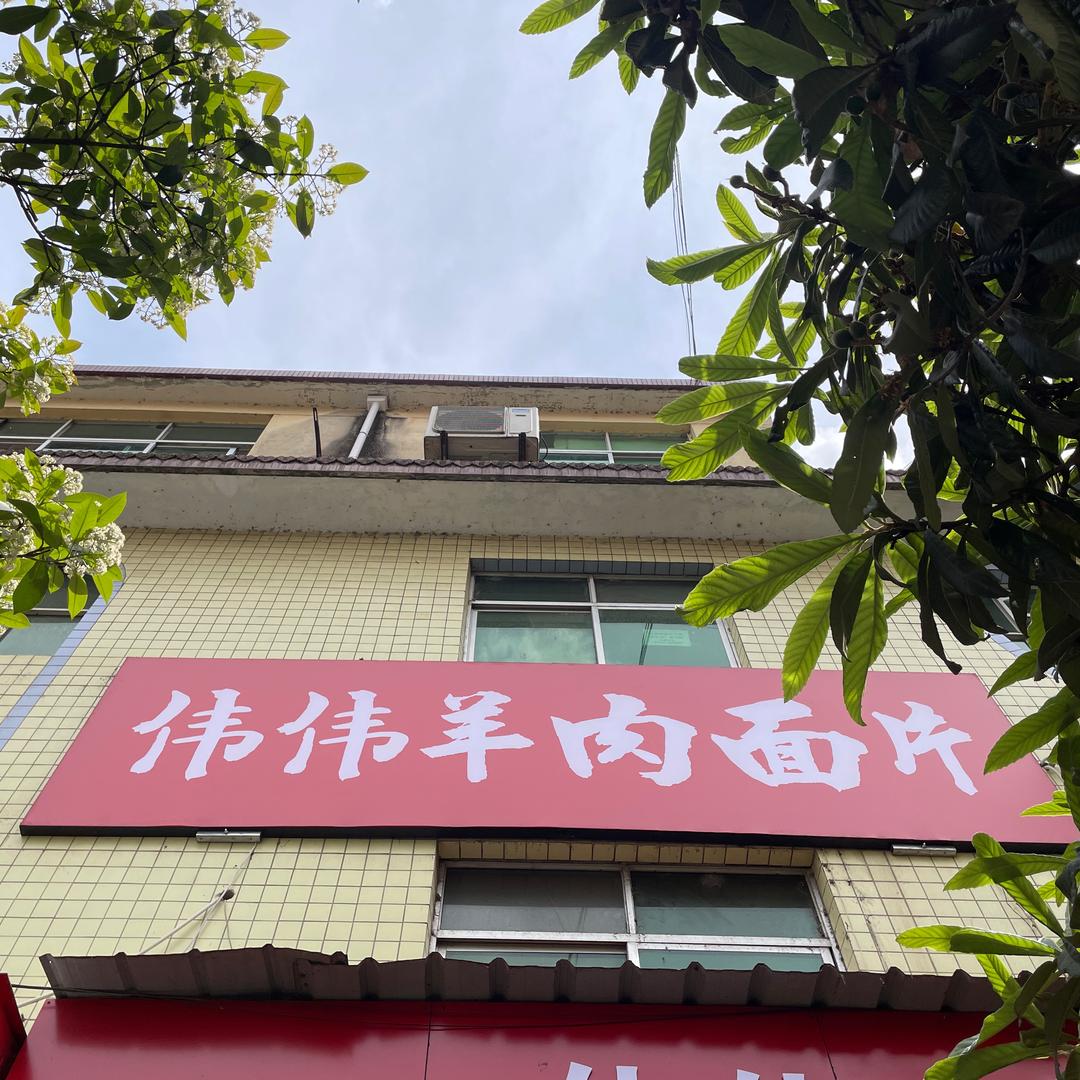 伟伟手工羊肉面片官方号