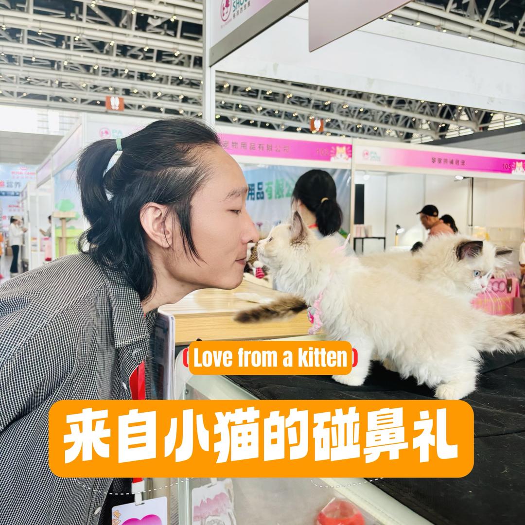 爱喝拿铁的喵🐈