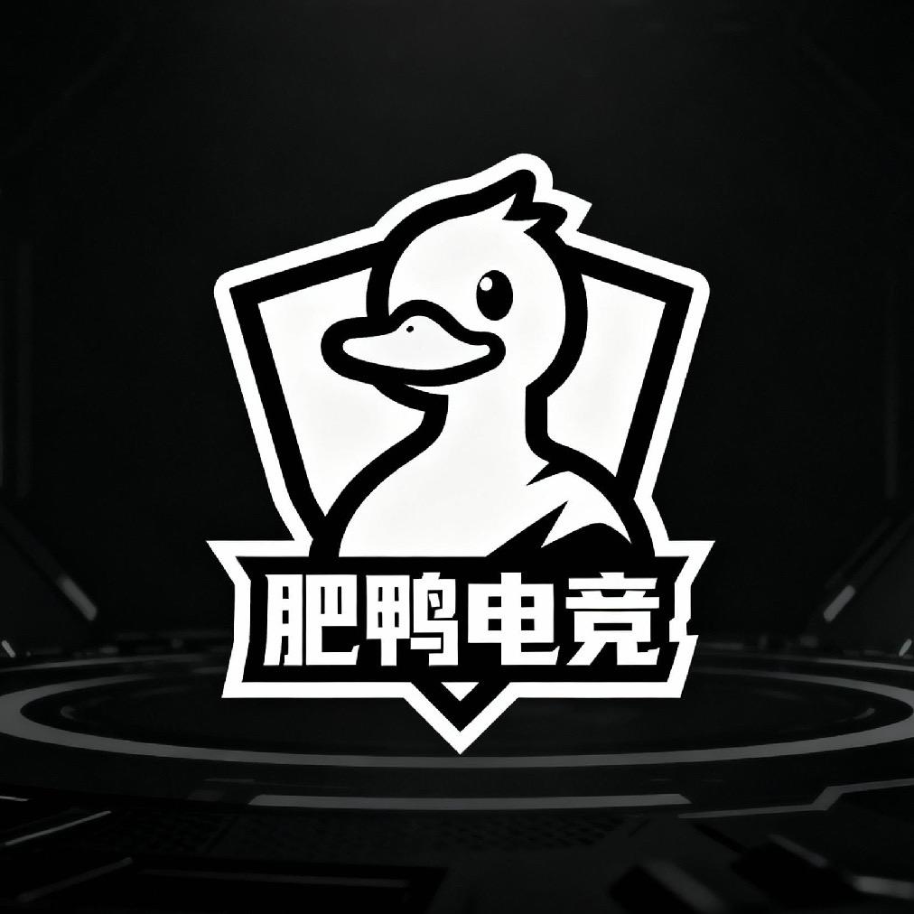 岸哥（肥鸭电竞俱乐部）
