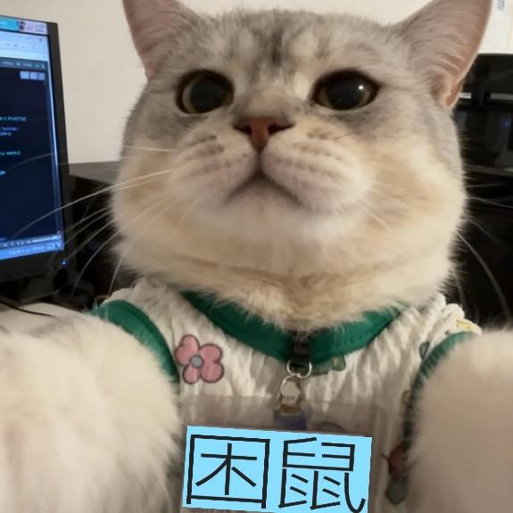 呆鱼