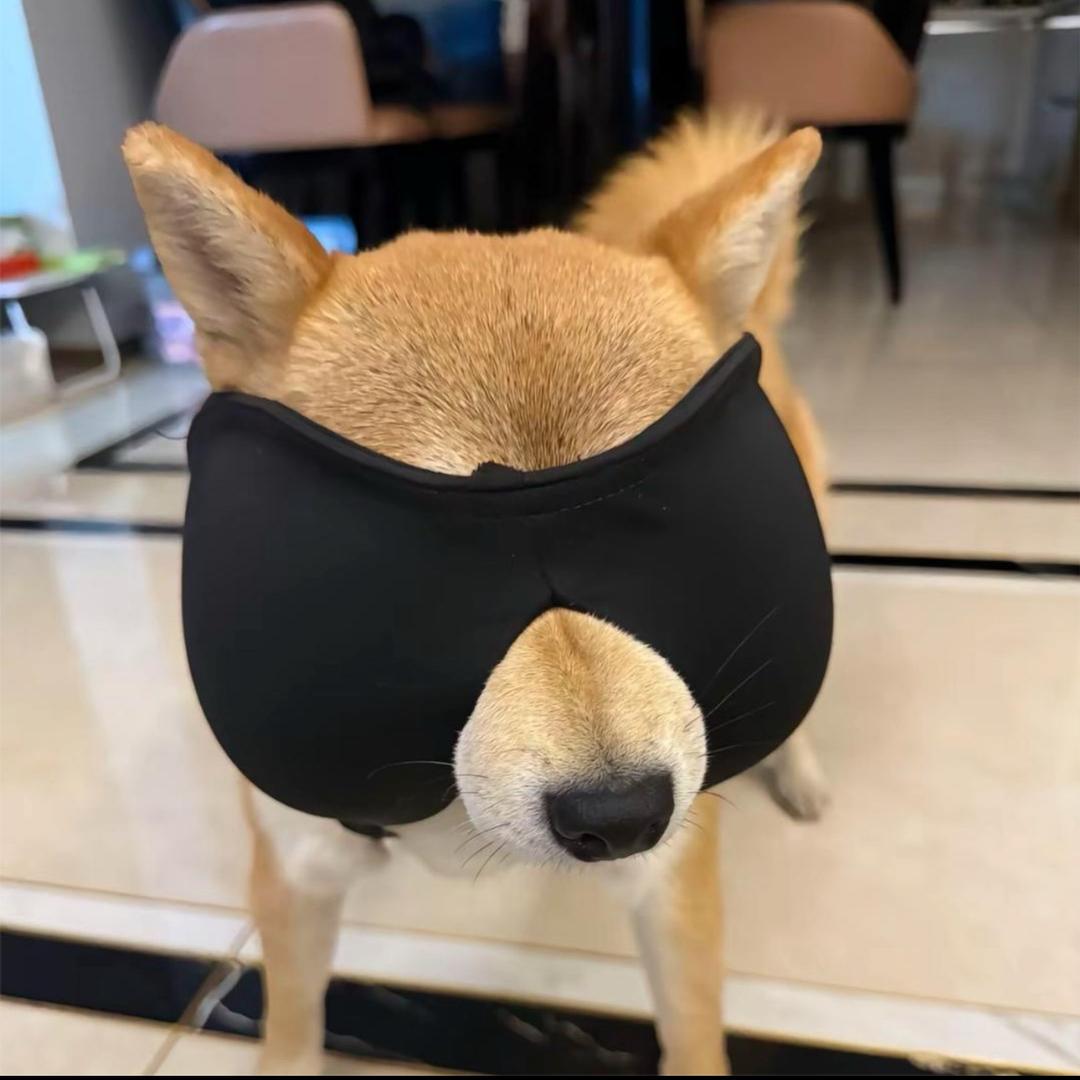 咪西冰城
