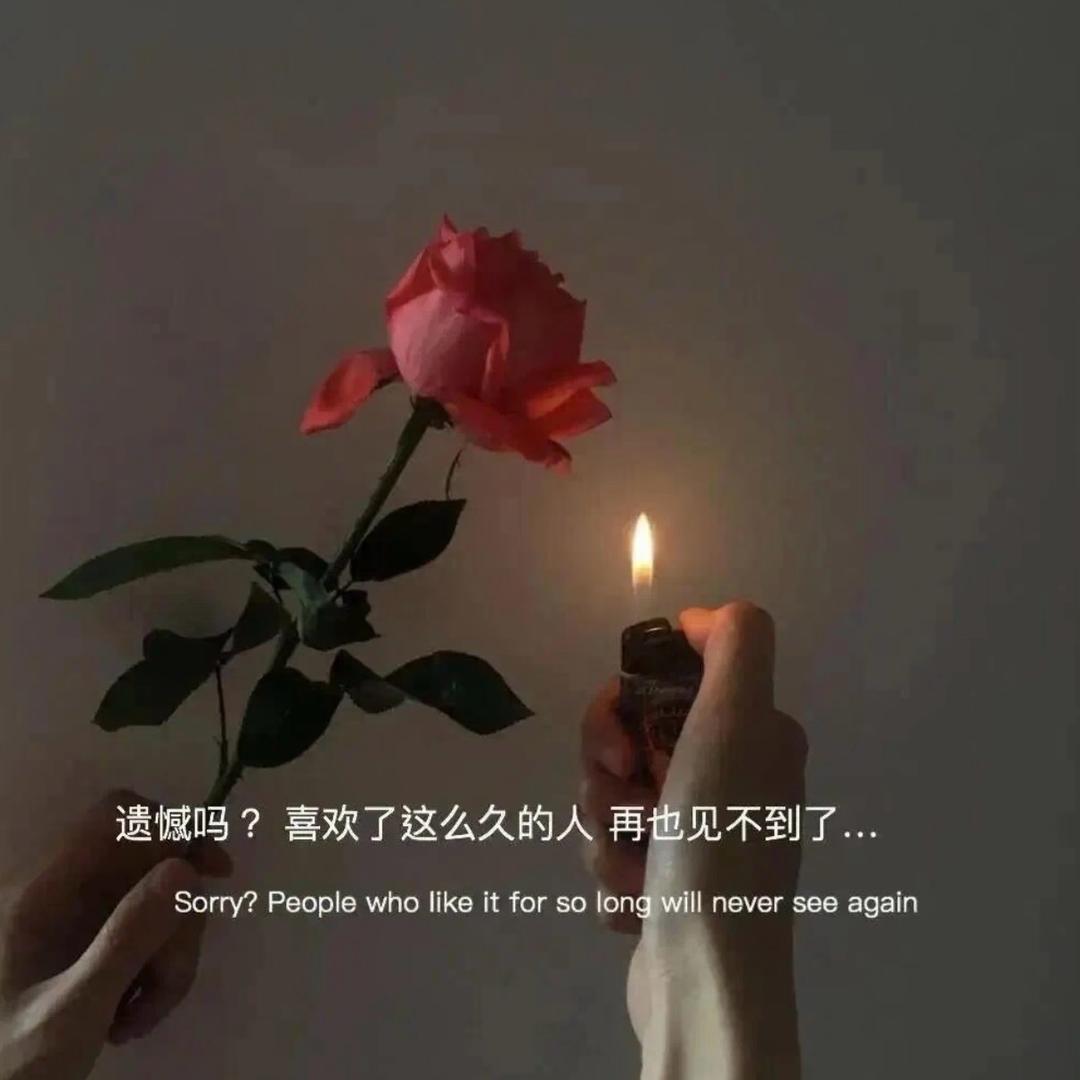 吃饱饱，没烦恼✨