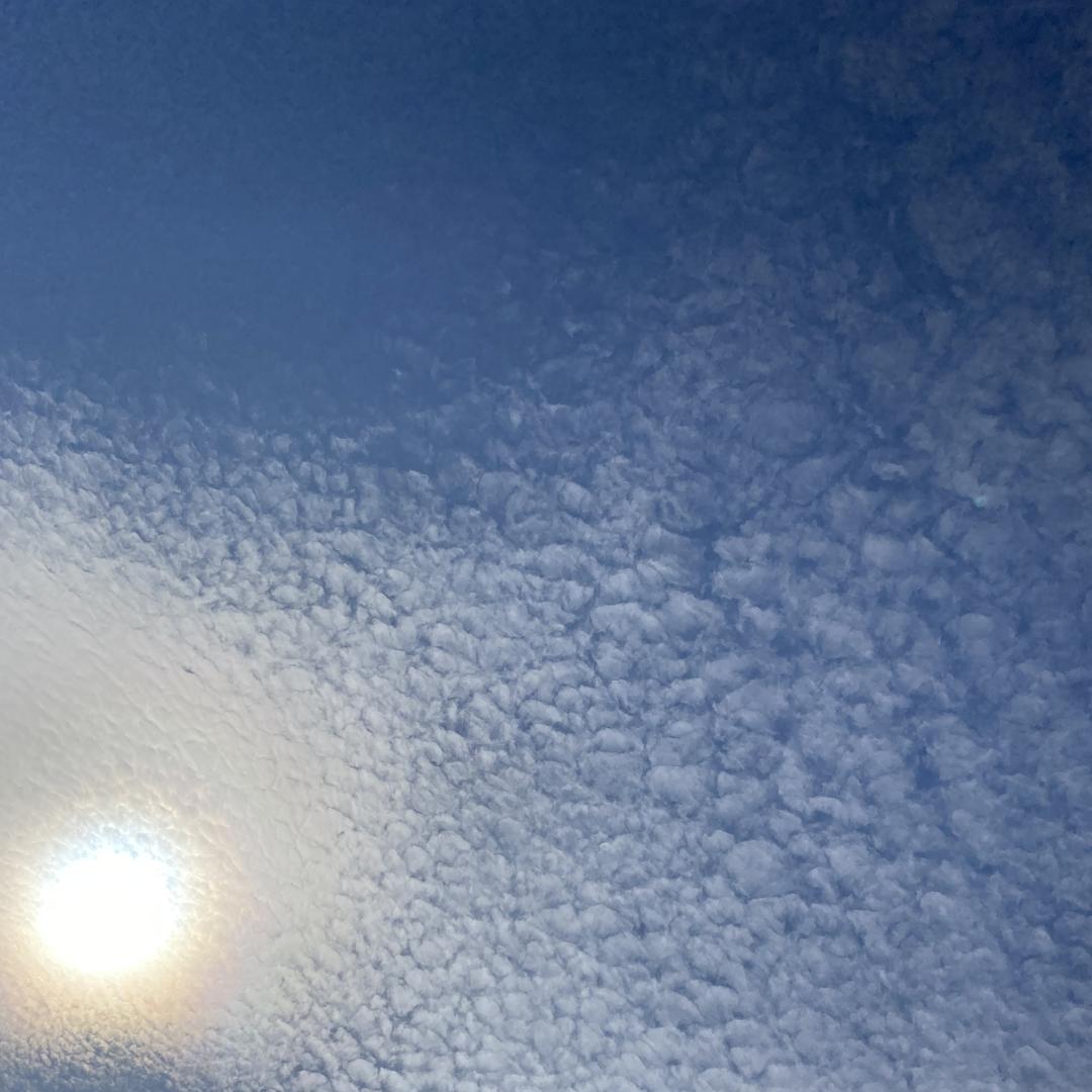西牛牛户外