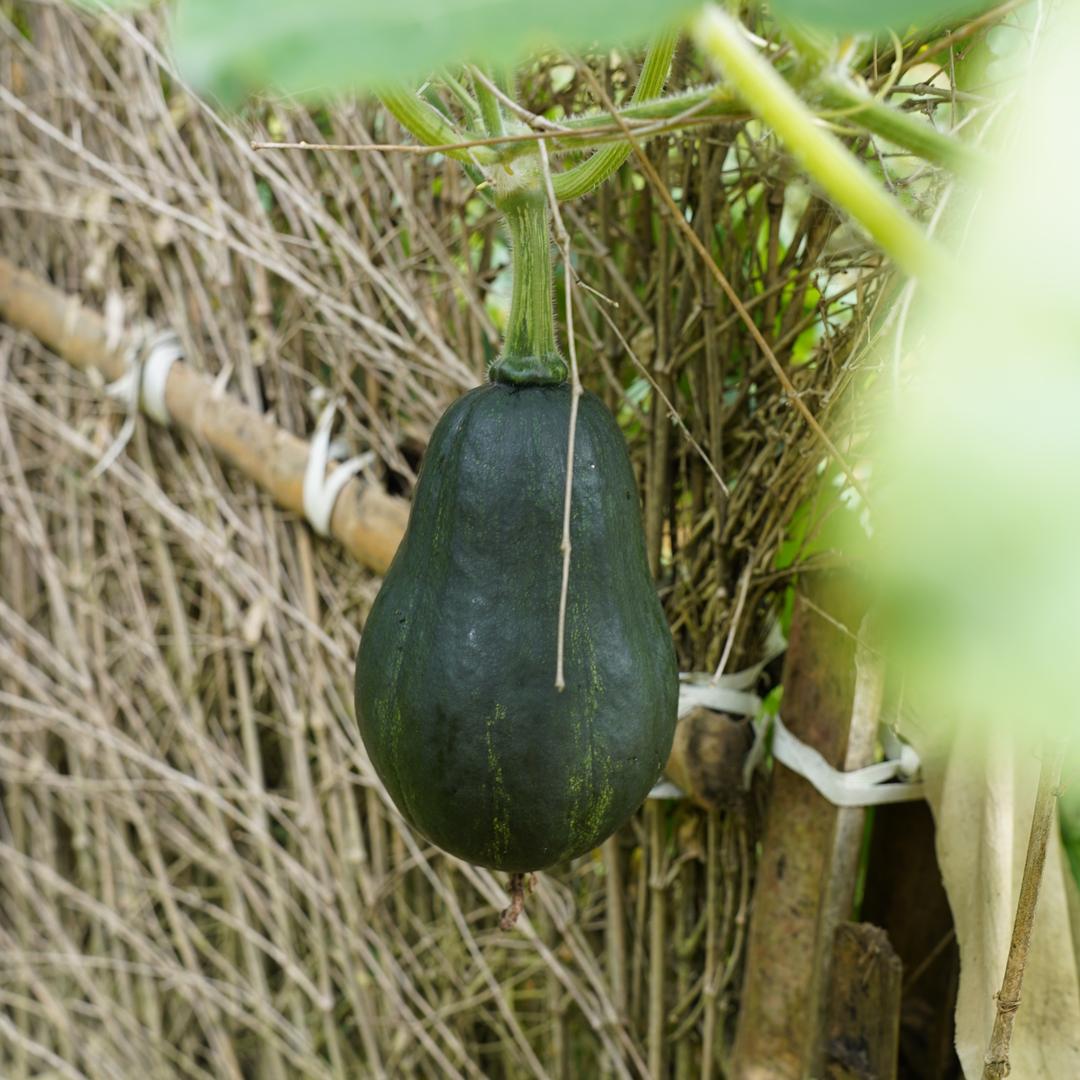 谁家的小迷糊吖