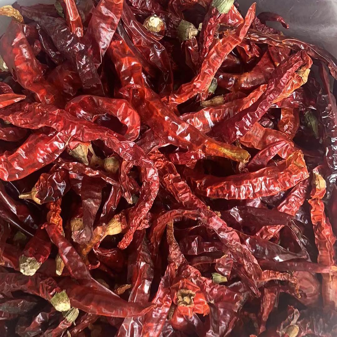 卖辣椒的小张🌶️