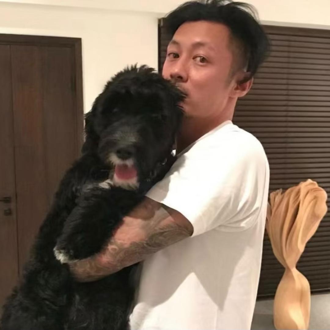 Cc-高价回收百亿补贴