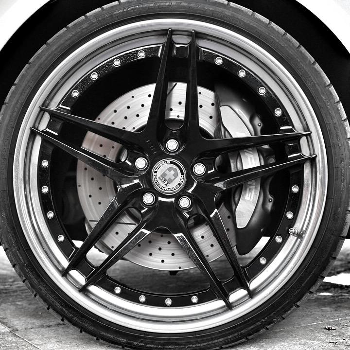 小龟山上的小小龟