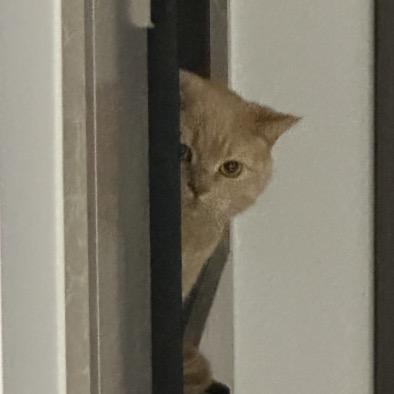 假装看不见
