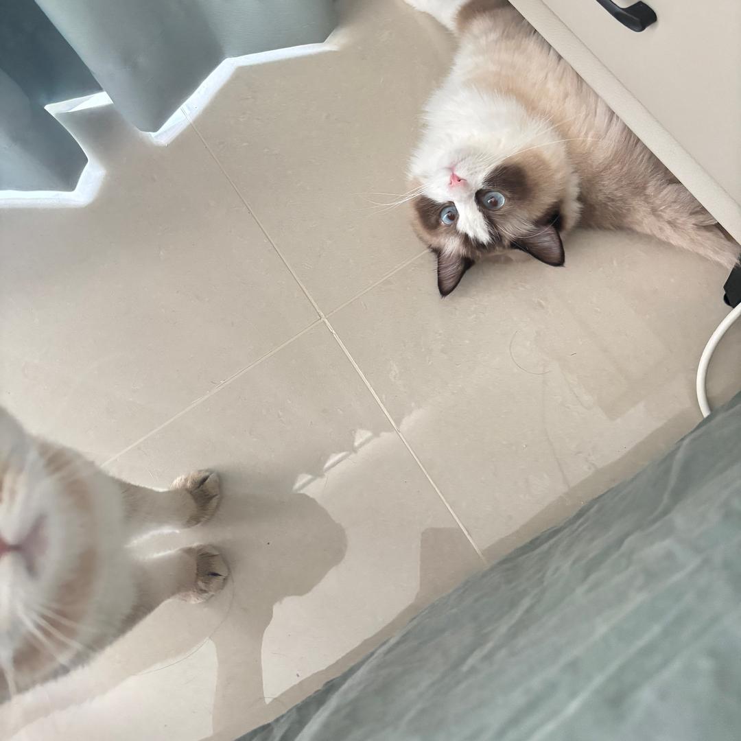 青睐