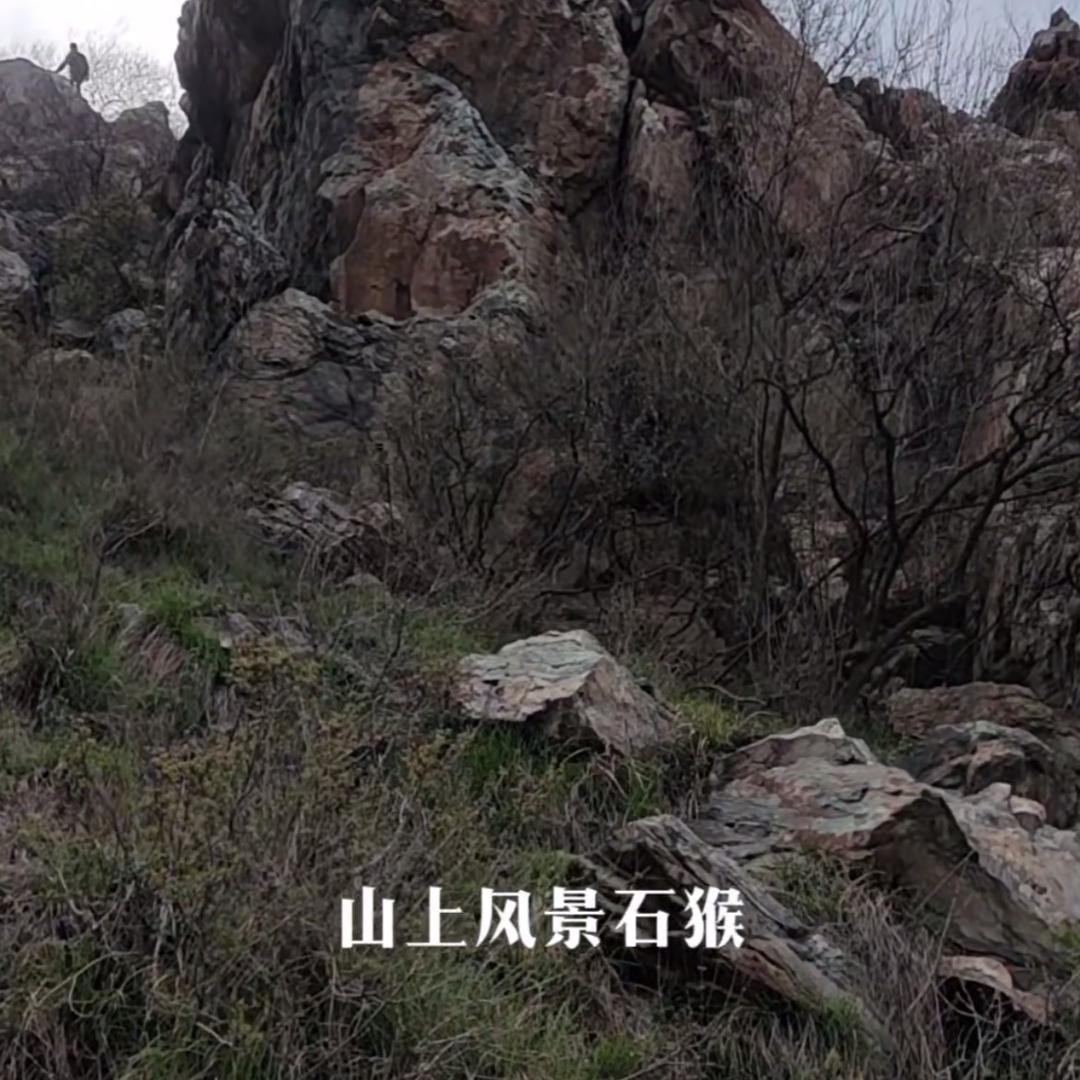 腾飞
