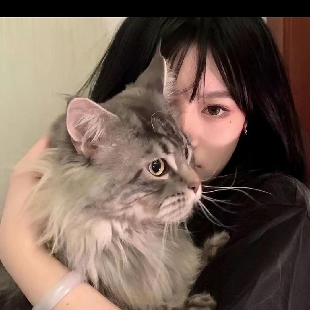 嘿了you嘿