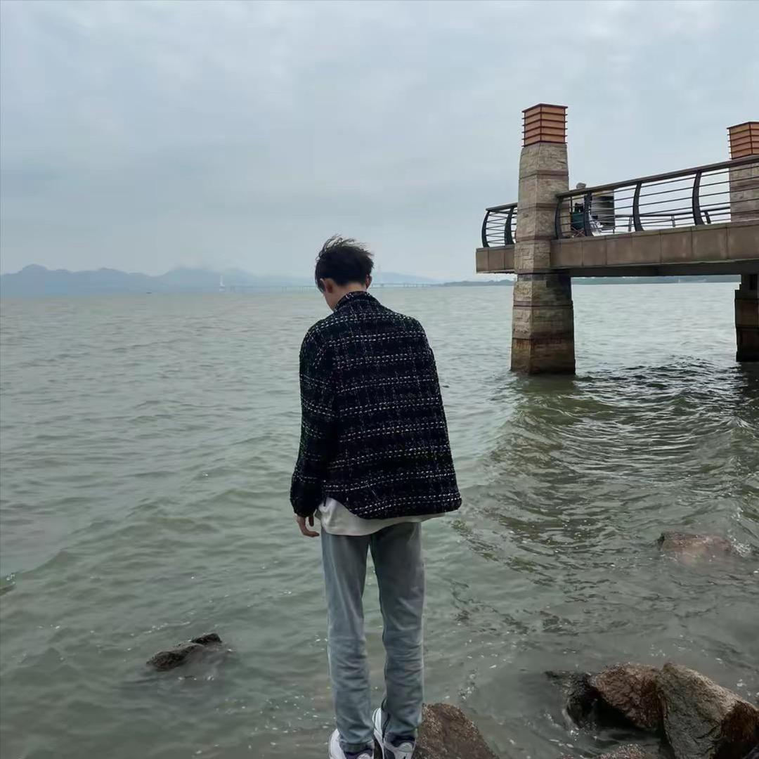 领头羊