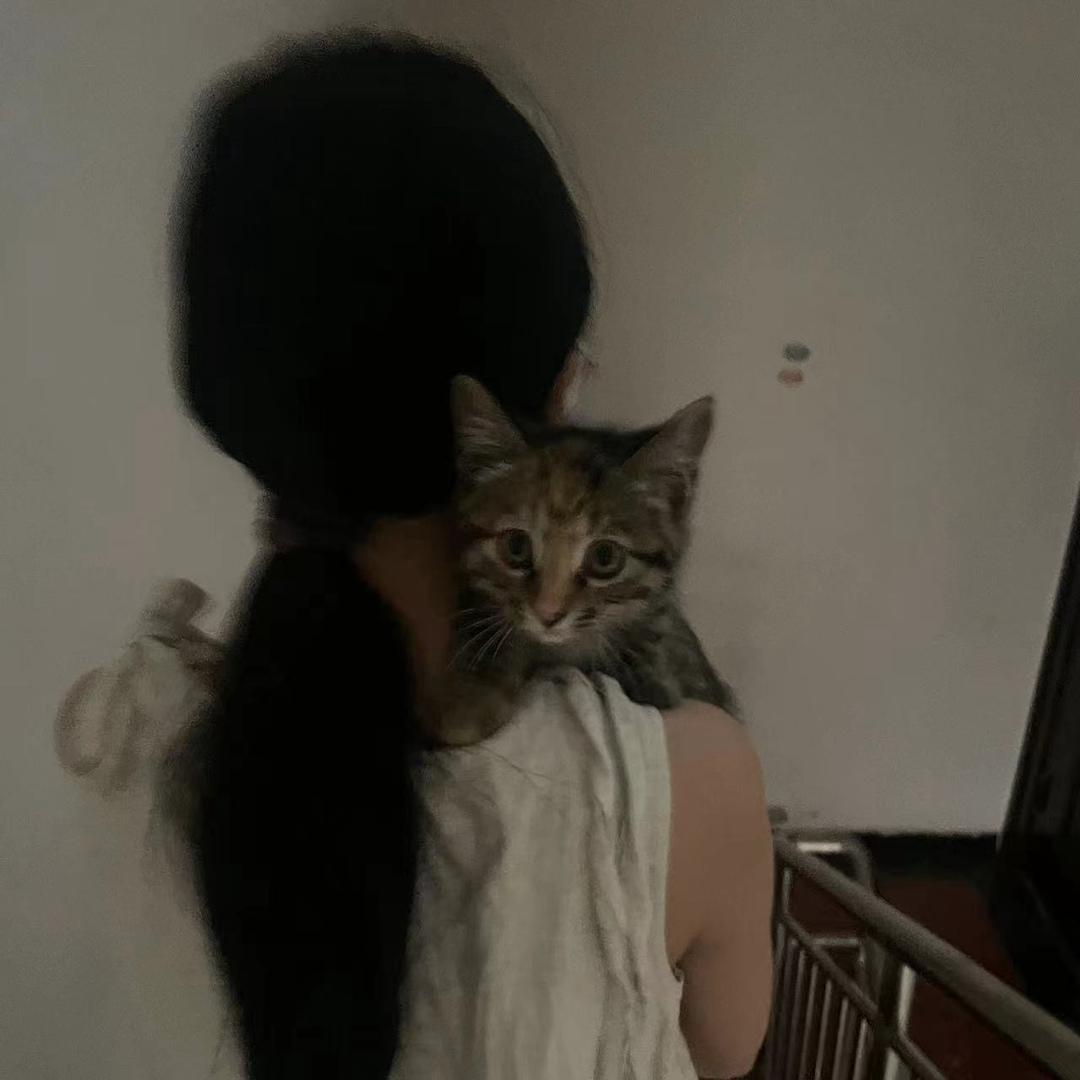 柚汁味的梦