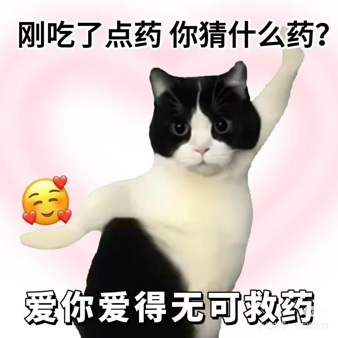 嘻嘻不嘻嘻