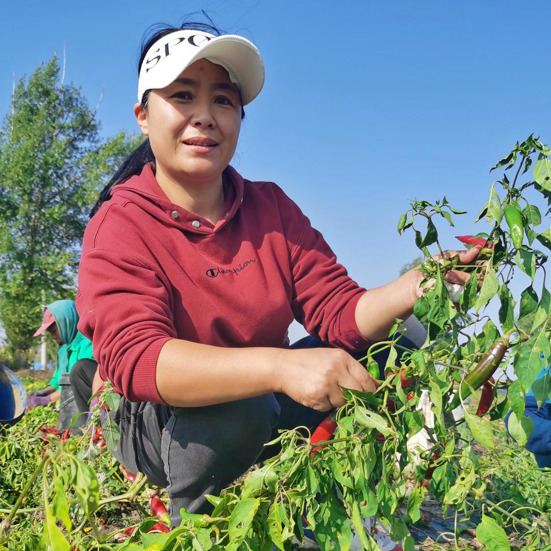 小伙伴农副产品