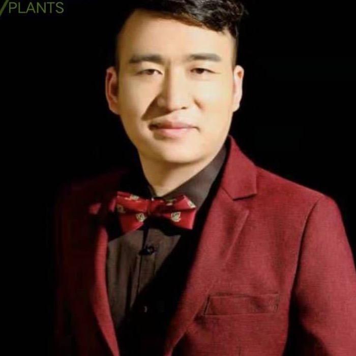 紫鑫一一食居儒者