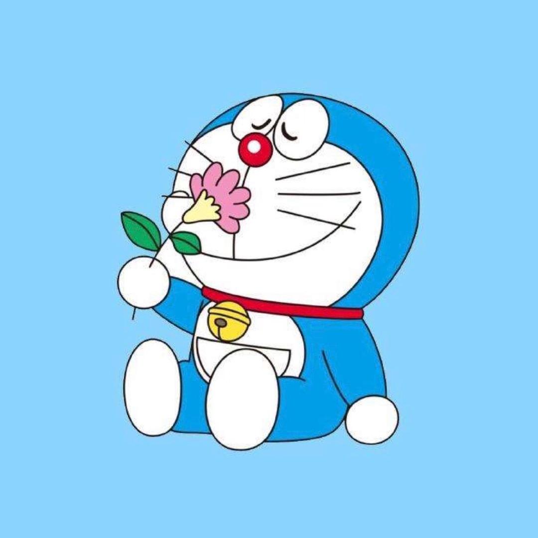 科里科里巴巴变