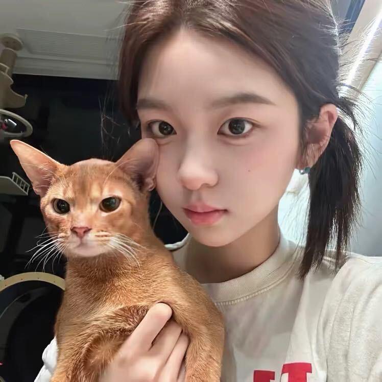 我不叫🥚