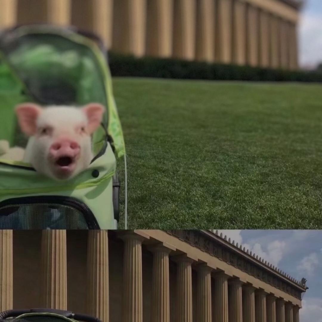 卦