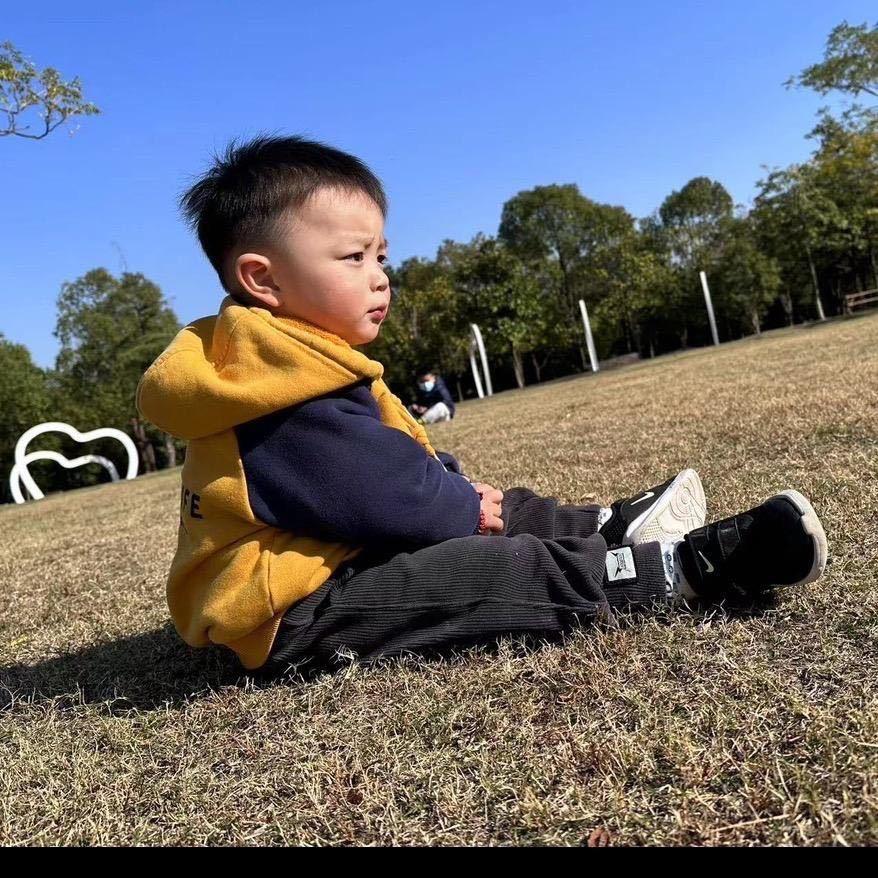 🌈小🐑洋洋🦖