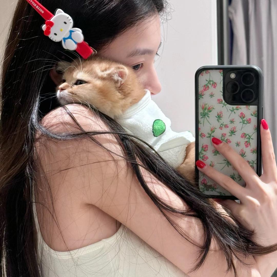 布小鹿