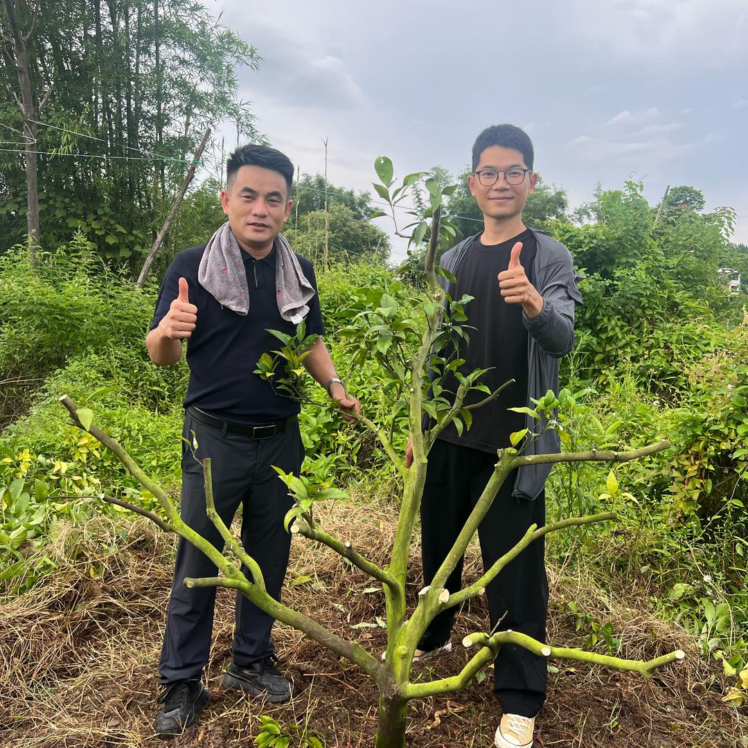 聚诚柑橘动力🍊小吴