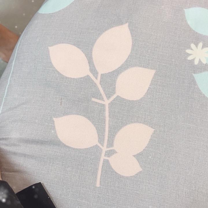 伯爵爷