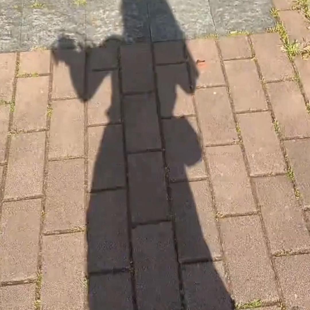 小叶子🍃
